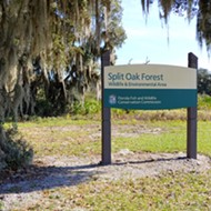 Orange County commissioner says Split Oak Forest toll road approval was filed under the wrong code