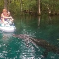 Florida woman fights off large alligator while paddleboarding in terrifying video
