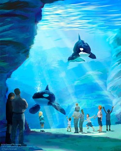 An artist's rendering released by SeaWorld of the proposed Blue World orca habitat