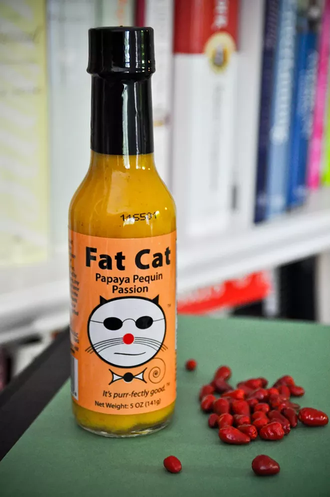 1000w_costa_rica_-_fat_cat_1.jpg