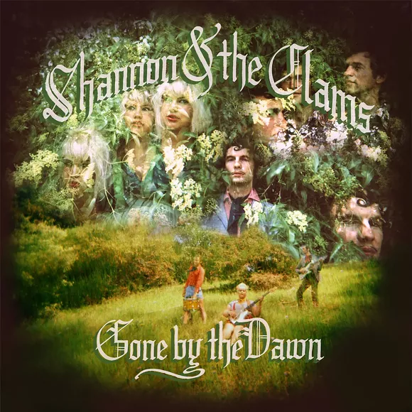 12-16_mus_best_albums_shannon_and_the_clams.jpg