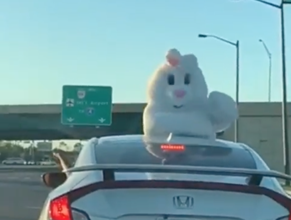 Image result for easter bunny fight