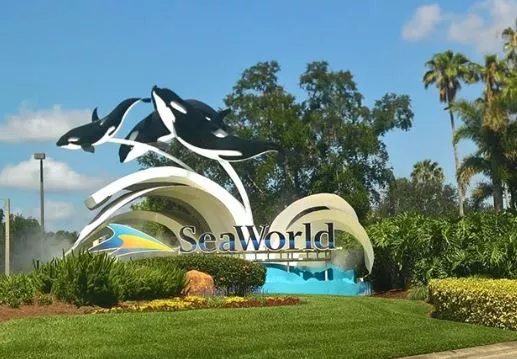 scott ross seaworld