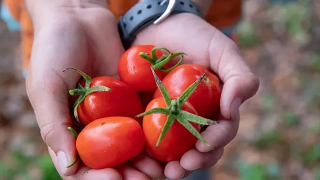 Planting Seeds, Growing Justice - PHOTO COURTESY GLOBAL PEACE FILM FESTIVAL