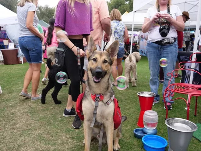 PHOTO COURTESY PAWS IN THE PARK