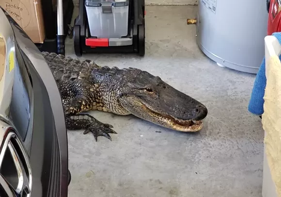 PHOTO VIA NORTH PORT POLICE DEPARTMENT/FACEBOOK