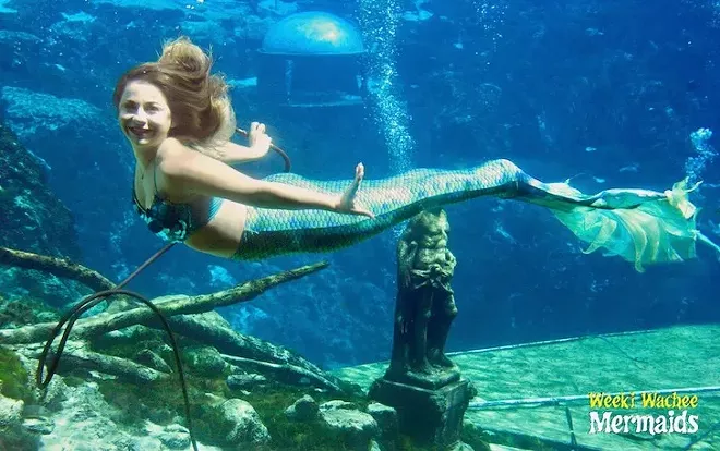 PHOTO COURTESY WEEKI WACHEE SPRINGS STATE PARK/FACEBOOK
