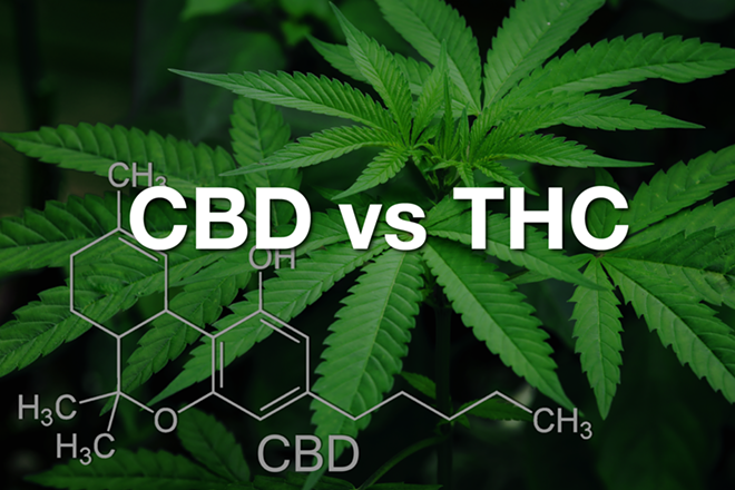 02_-_tuesday_image_-_iheart_cbd_oil_1_.png