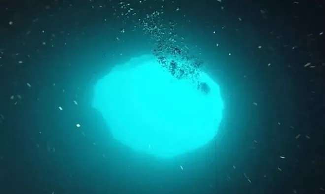 The Amberjack Hole - PHOTO VIA MOTE MARINE LABORATORY