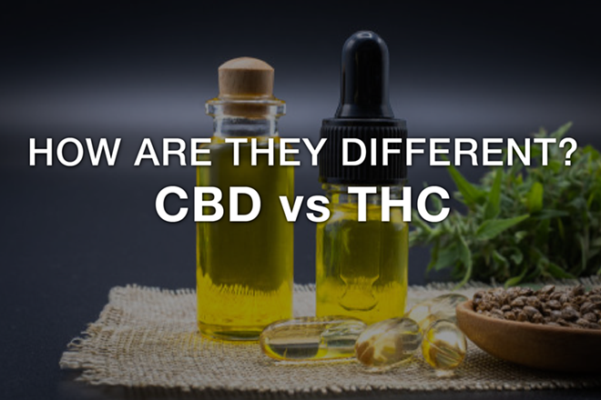 02_-_tuesday_image_-_iheartcbd_1_.png