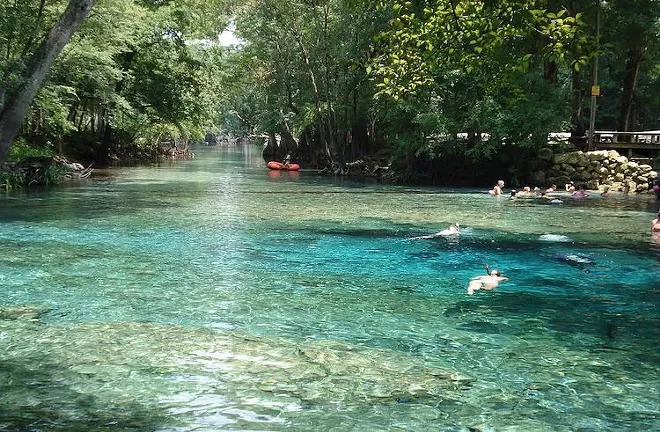 Florida Board Approves Permit For Nestle To Continue Bottling 1 Million Gallons Of Spring Water A Day For Just 115 Blogs