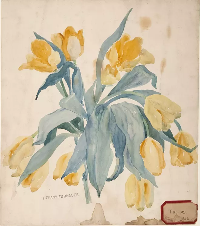 Tulips, c. 1901. Watercolor, graphite on paper; Lillian A. Palmié, American, 1873–1944; 15 x 13 in. (80-008). - COURTESY OF THE CHARLES HOSMER MORSE MUSEUM OF AMERICAN ART, WINTER PARK, FL.