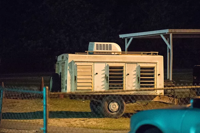 At Sanford Orlando Kennel Club, dogs stay in small kennels when not racing - PHOTO BY JEREMY REPER
