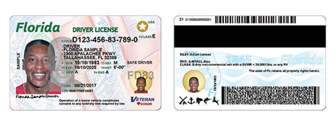 Florida Officials Investigate Possible Criminal Misuse Of Patronis License Info Blogs