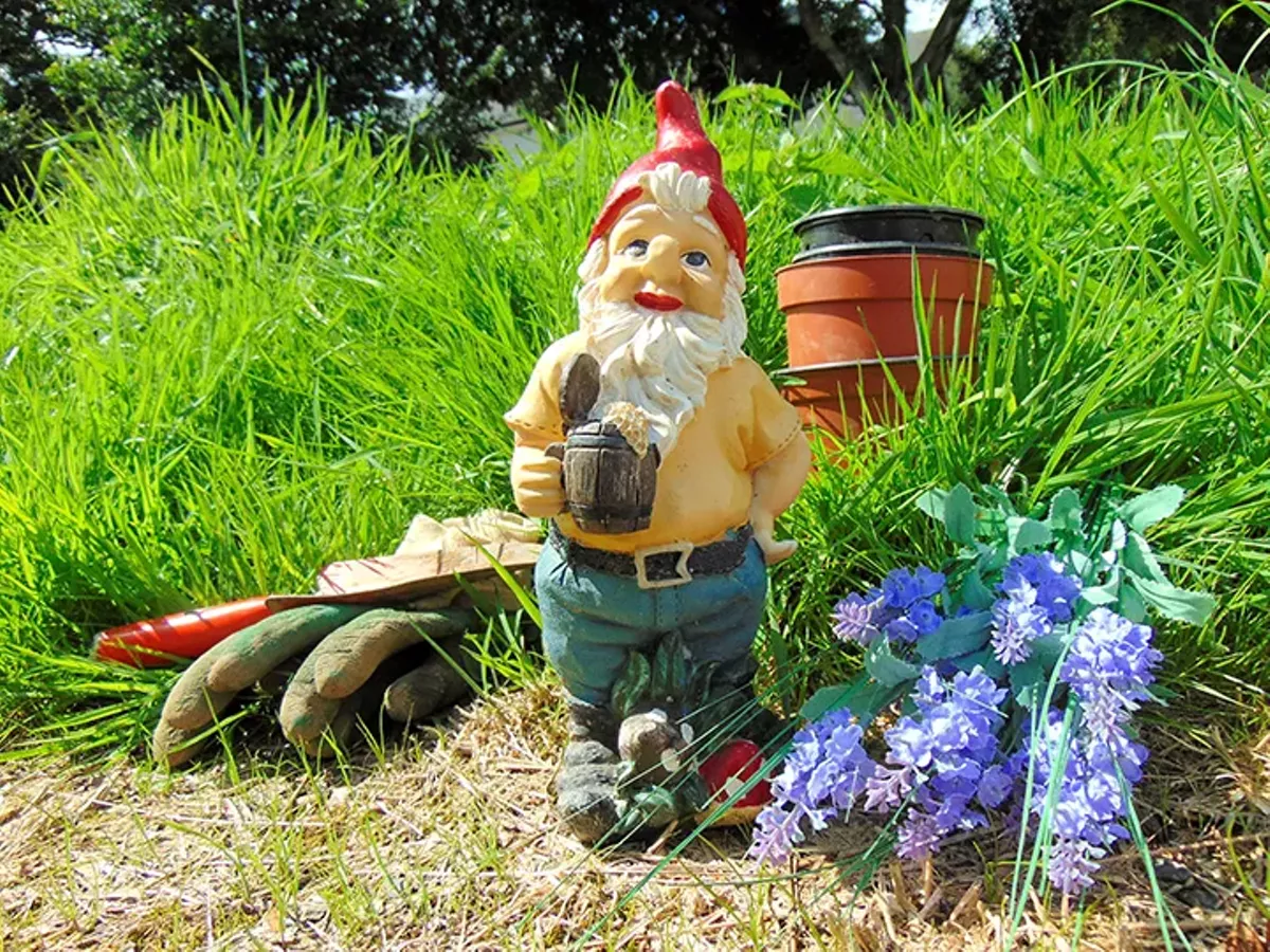 Orlando gay gnomes Pic shemale tgp