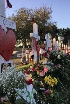 Gun control could become key issue in Florida's November elections