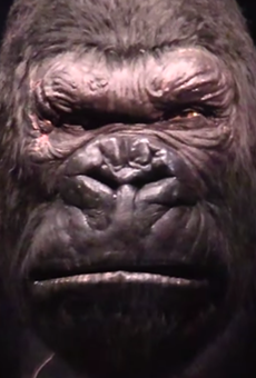 Watch this leaked full ride video of Universal's Skull Island: Reign of Kong
