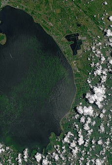 Army Corps of Engineers admits to releasing toxic water from Lake Okeechobee into other Florida waters