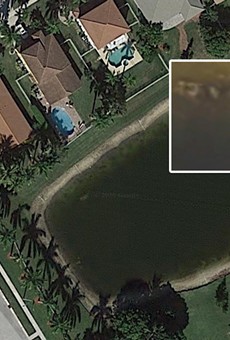 Florida man discovers car with body of missing man in lake using Google Maps