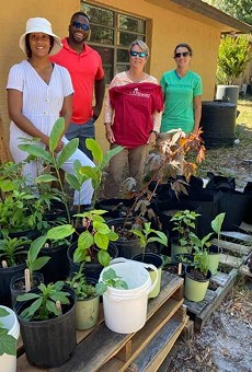 Universal Studios donates plants to Orlando urban gardening charity