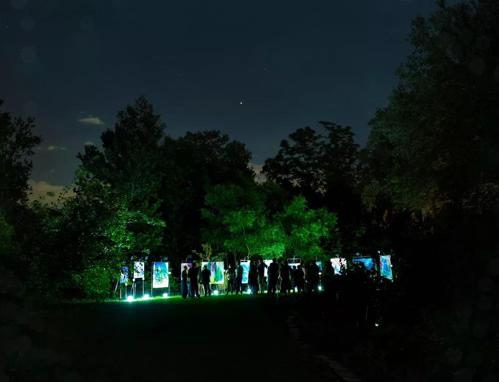 Best Glow In The Dark Outdoor Art Gallery Christie Miga S Christie Miga S Luminosities At Mead Garden