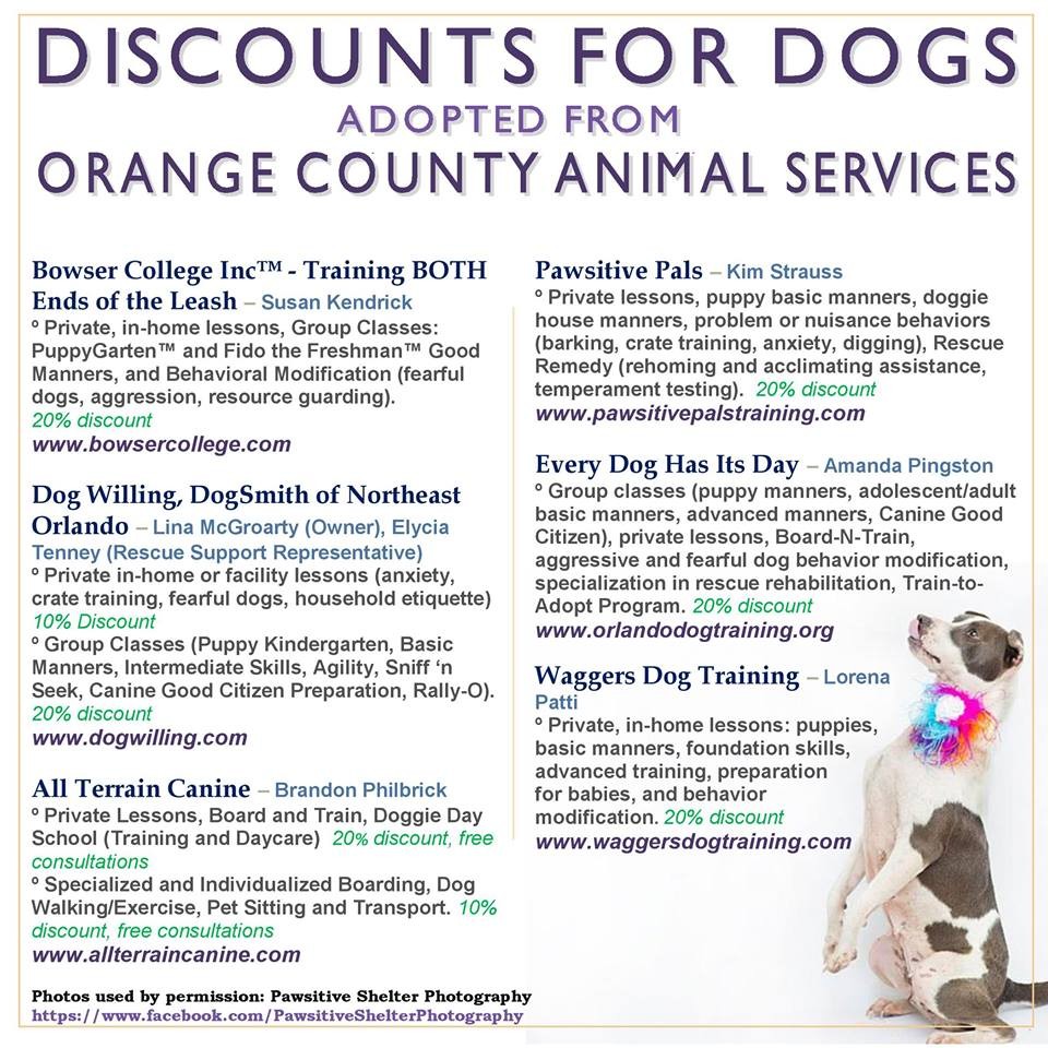 Why Are Orange County Residents Surrendering So Many Animals To The Shelter This Summer Blogs