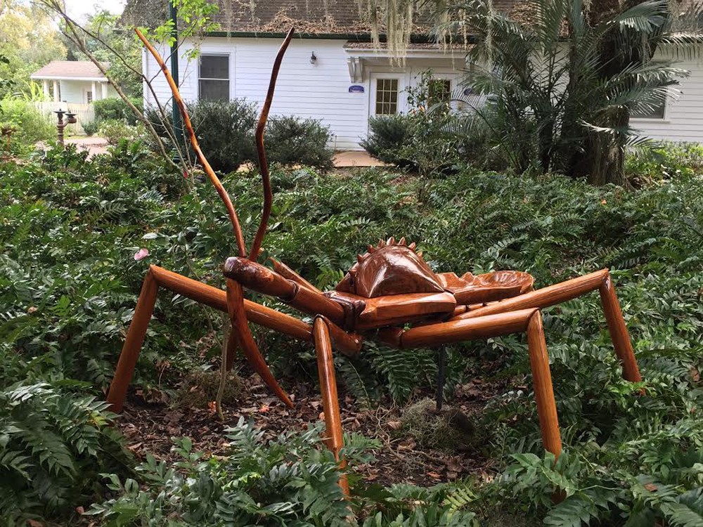 Exploring The Big Bug Invasion At Harry P Leu Gardens News