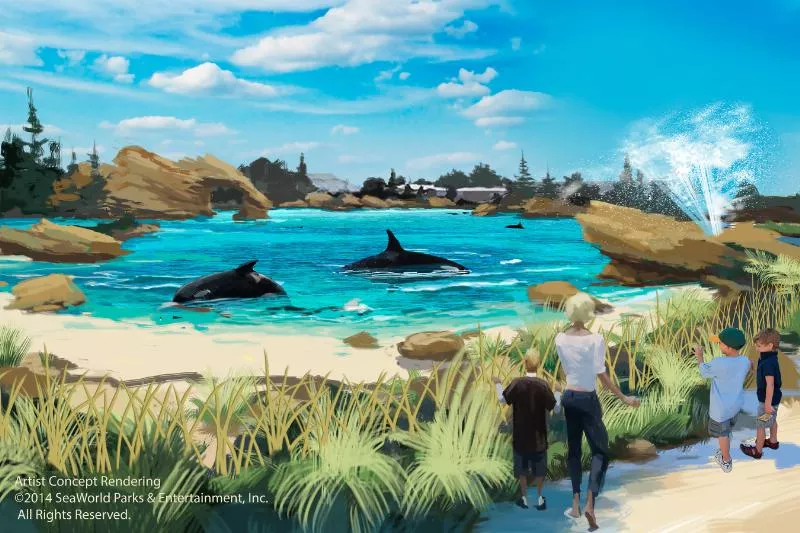 Seaworld Orlando Is Ending Its Theatrical Orca Shows But They Still Have A Long Road Ahead Blogs