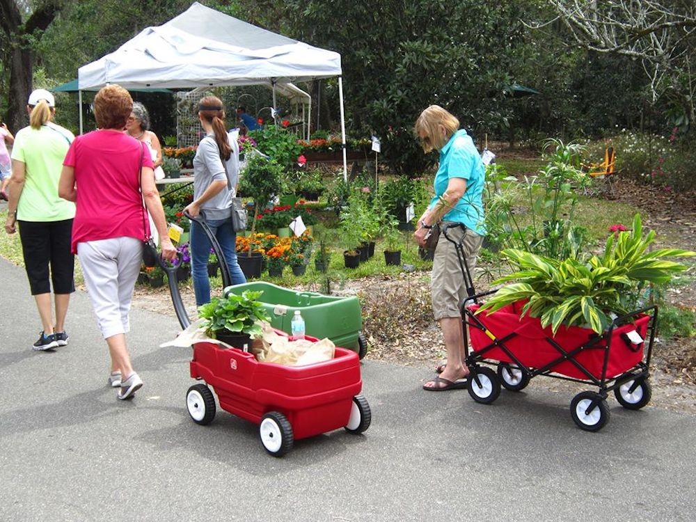 Leu Gardens Cancels Orlando S Most Popular Annual Plant Sale Blogs