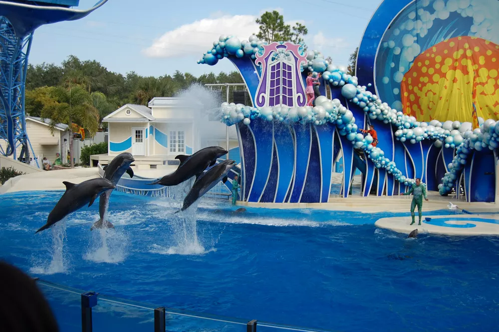 Seaworld Orlando Announces Monday Closure As Coronavirus Threat Continues Blogs Seaworld Orlando Announces Monday Closure As Coronavirus Threat Continues Blogs