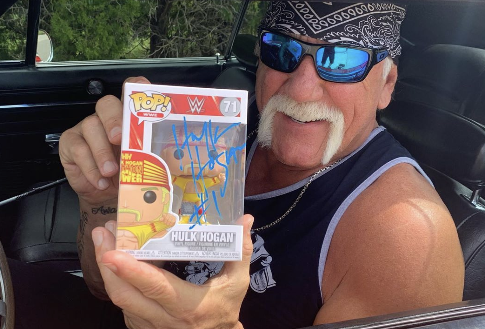 Hulk Hogan is now incorrectly suggesting we don't need vaccines' Blogs