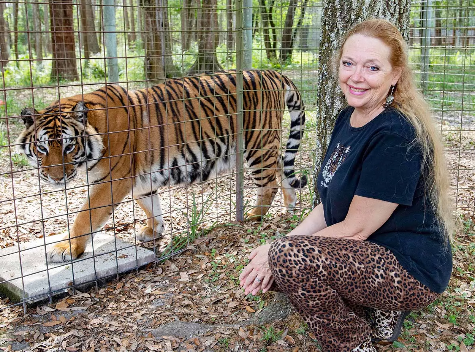 big cat refuge near me