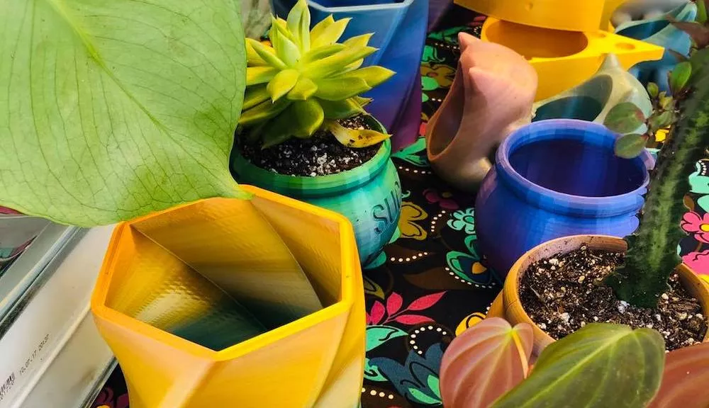 Bazaar Botanica Market Promises A Plethora Of Local Oddities Arts Crafts And Plants This Month Blogs Bazaar Botanica Market Promises A Plethora Of Local Oddities Arts Crafts And Plants This Month Blogs