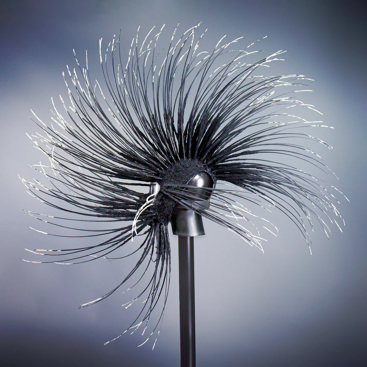 'Puissance' - ART BY BEN VAN BEUSEKOM, PHOTO COURTESY LARIMER & CO. BRANDING STUDIOS