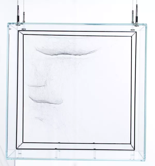 FROM "HYBRID WEBS" SERIES BY TOMAS SARACENO