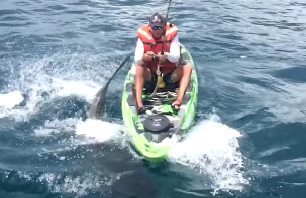 A Florida fisherman was knocked off his kayak by a shark 