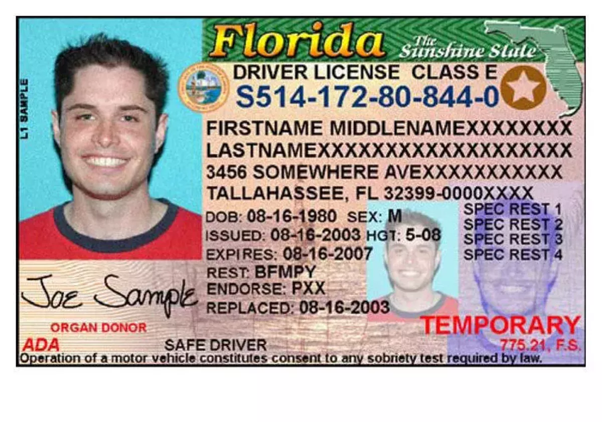 florida dmv license status