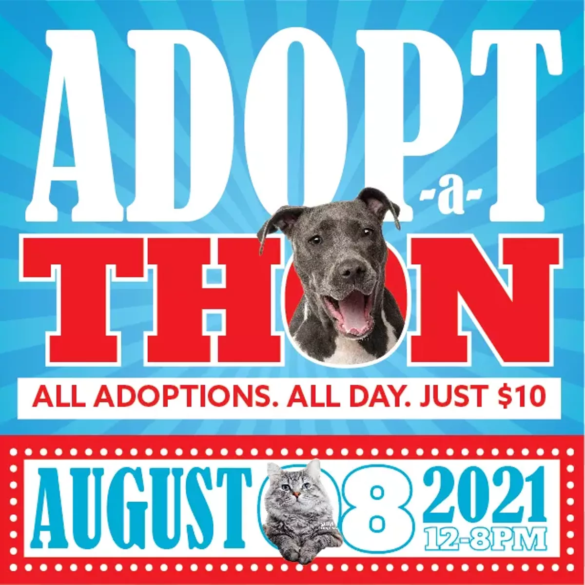Adopt-a-thon - Vimarsana News