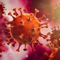 Florida is the nationwide leader in new coronavirus cases.