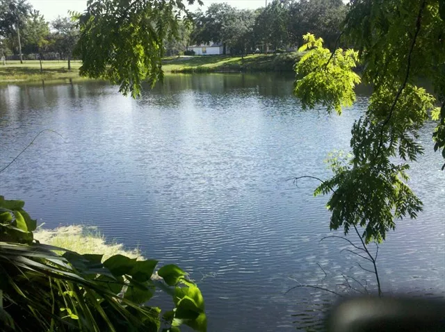 A Florida Sinkhole Swallows Homes Cars A Pool Remembering