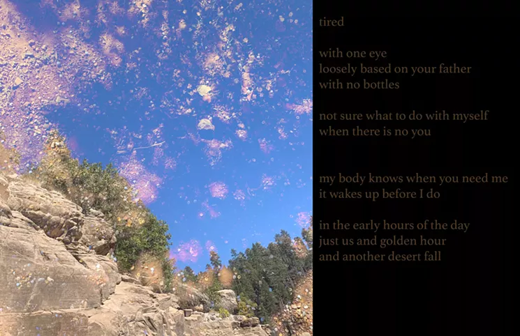 Detail of another desert fall (archival inkjet print, 2020-2021) on view at Eye Lounge. - MEGAN DRIVING HAWK