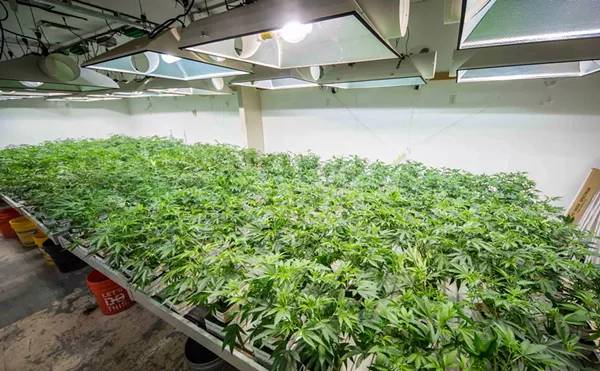 Visual Aid: Take a Tour of Giving Tree's Dispensary and Cultivation Center