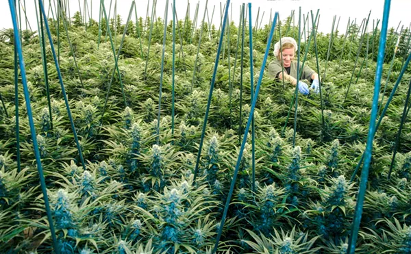 Could a Pima County Ruling Threaten Marijuana Expungements in Arizona?