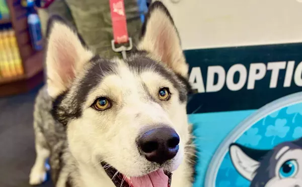 Four Free Things to Do This Week in Phoenix