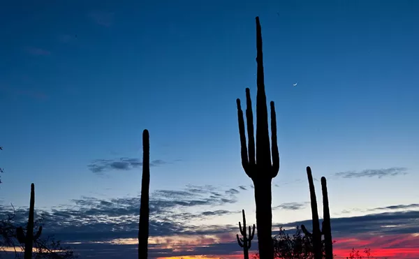 AZ Burners Plan Saguaro Man 2021 &mdash; But COVID-19 Could Shut It Down