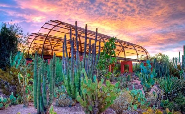 The Best Things to Do in Phoenix This Weekend