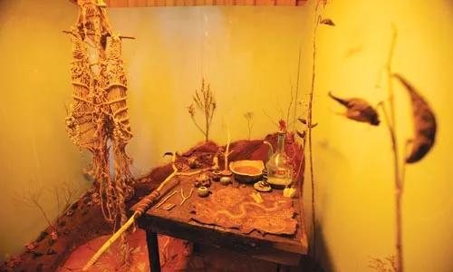 Alberto Almarza's "The Pok Cave" - HEATHER MULL