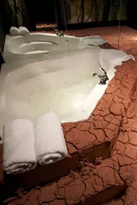 Bath during drought-time: Krishnaraj Chonat's "Untitled."