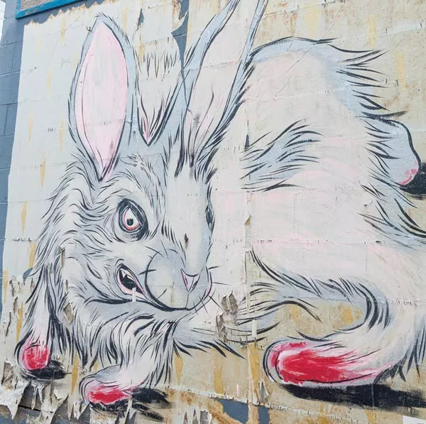 Feral Bunny Wall Art