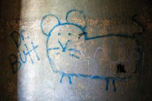 Image Courtesy the Artist